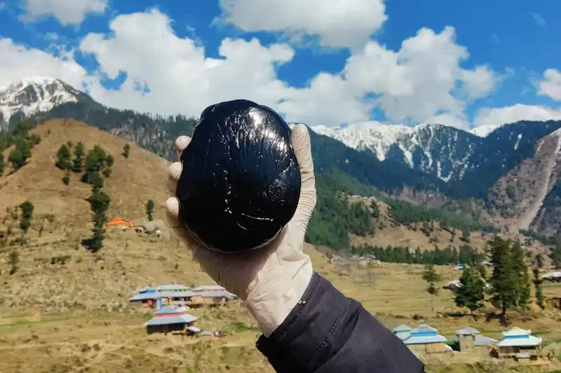 Asphaltum Shilajit Asphaltum Shilajit