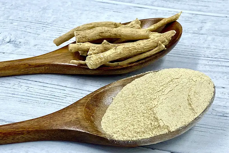 Withania somnifera Ashwagandha Withania somnifera Ashwagandha
